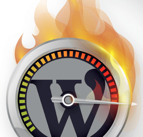 Speedometer WordPress logo